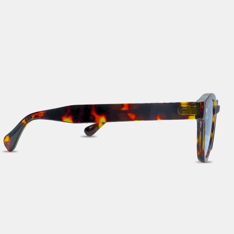 VISIONAIR CLASSIC TORT – Gafas Redondas Carey